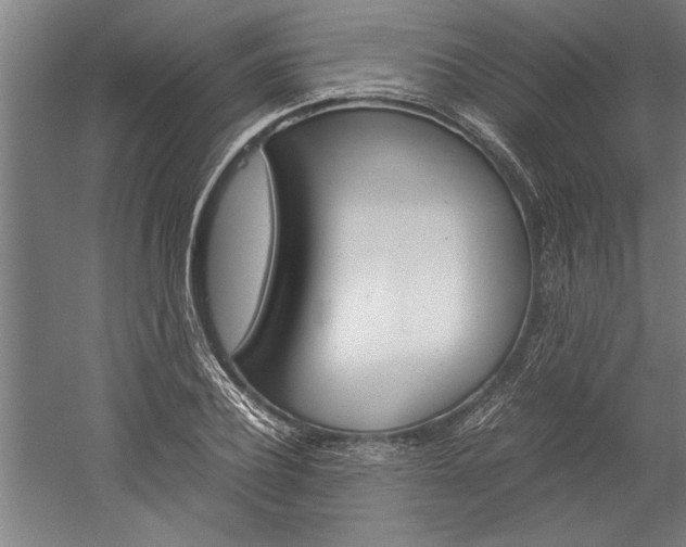 X0000060260932200510281005