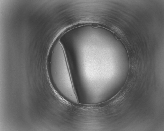 X0000060260942200510281005