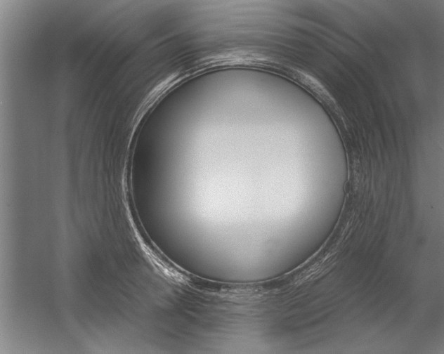X0000060260946200510281005