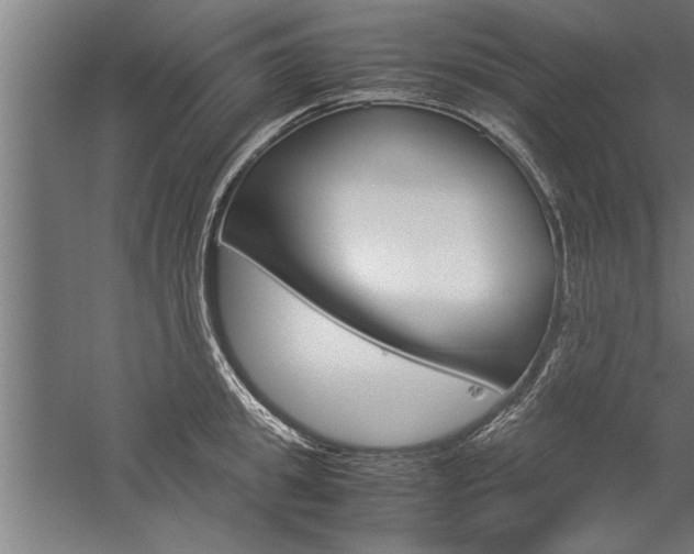 X0000060260949200510281005