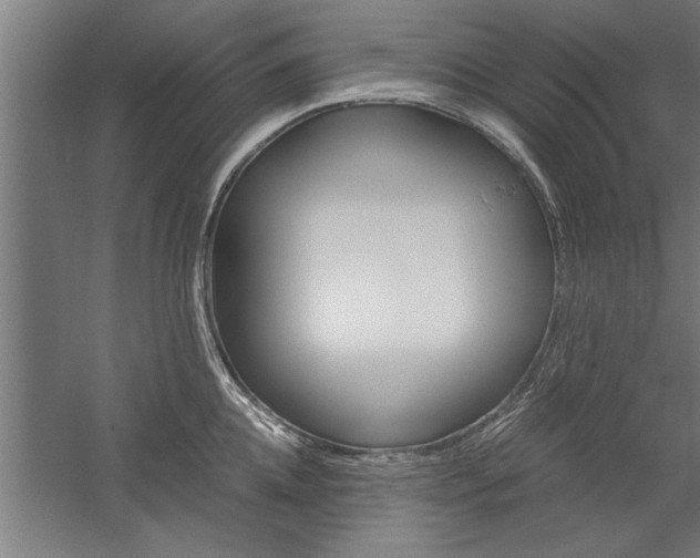 X0000060260952200510281005