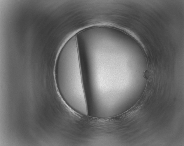 X0000060260959200510281005