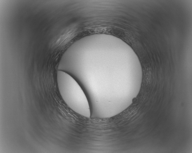 X0000060260962200510281005