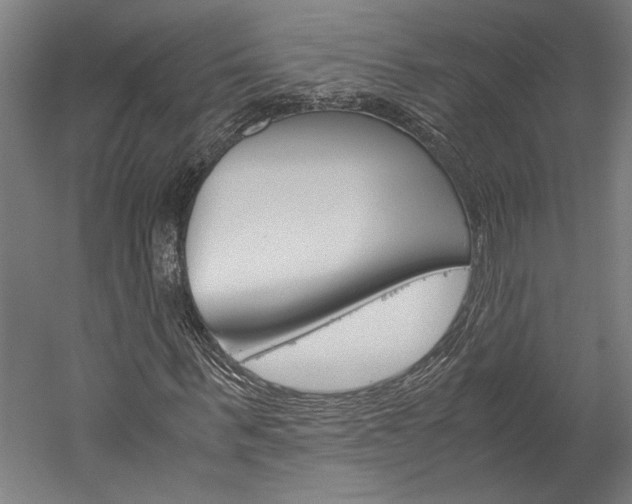 X0000060260963200510281005