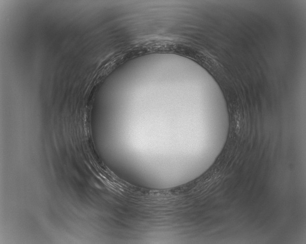 X0000060260964200510281005