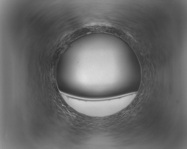 X0000060260965200510281005