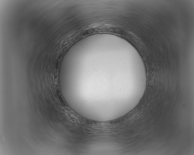 X0000060260966200510281004