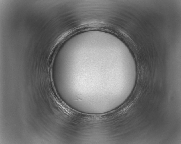 X0000060260970200510281004