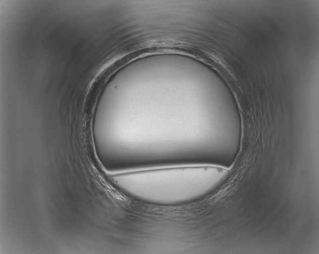 X0000060260971200510281004