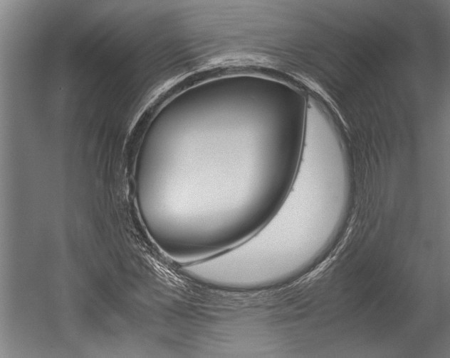X0000060260973200510281004