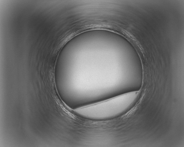 X0000060260985200510281004