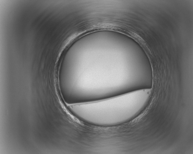 X0000060260989200510281004