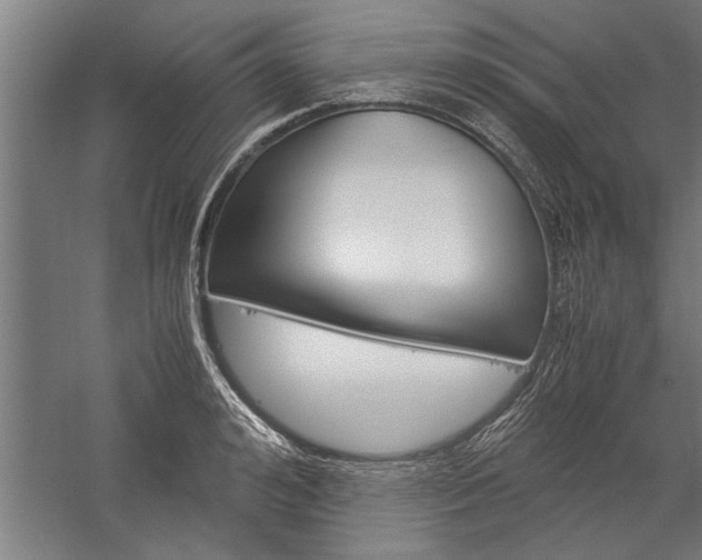 X0000060260992200510281004