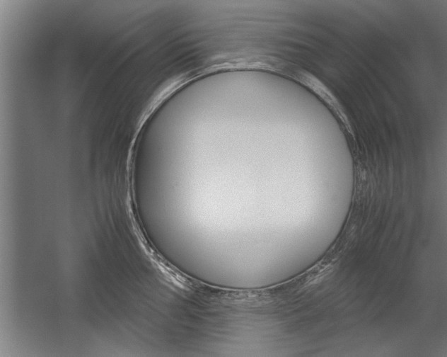X0000060261002200510281004