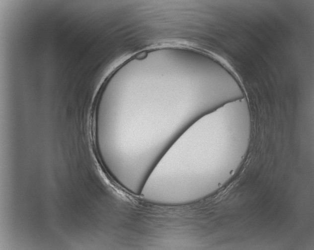 X0000060261003200510281004