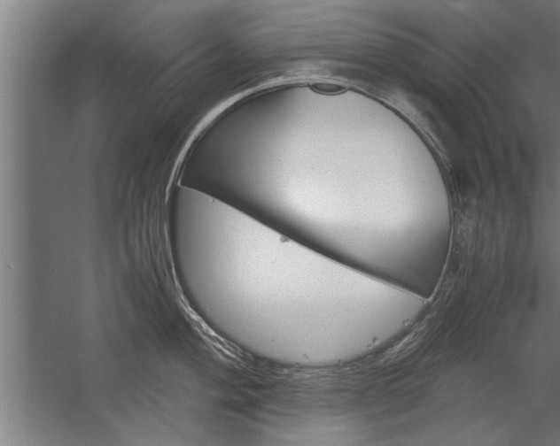 X0000060261004200510281004