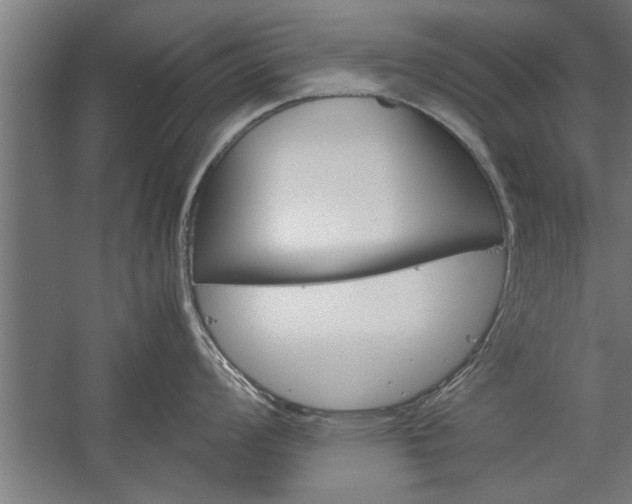X0000060261008200510281004