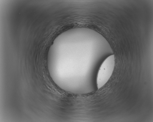 X0000060261009200510281003