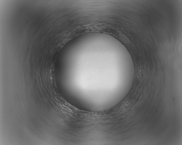 X0000060261010200510281003