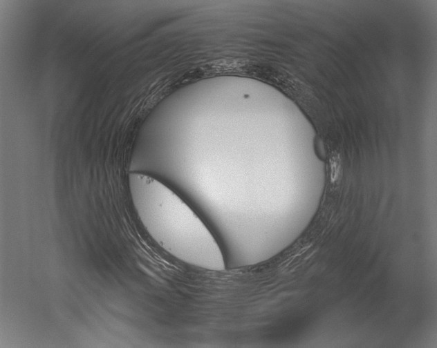 X0000060261011200510281003