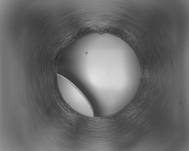 X0000060261012200510281003