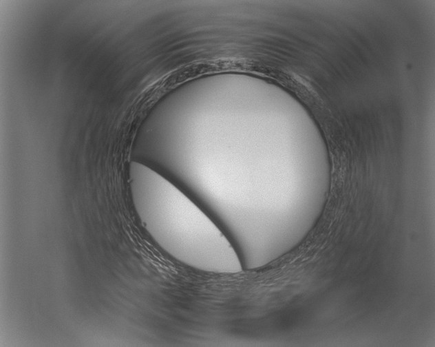 X0000060261015200510281003