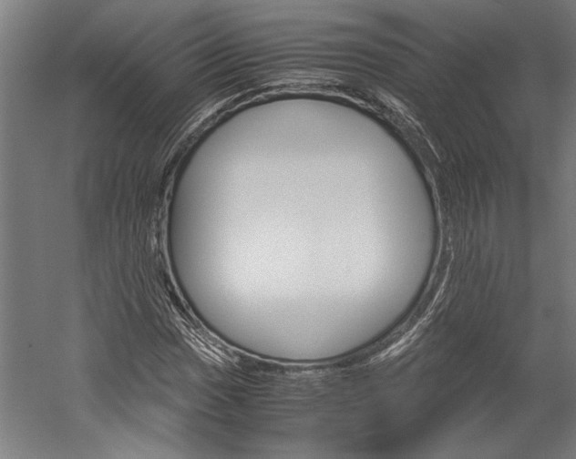 X0000060261017200510281003