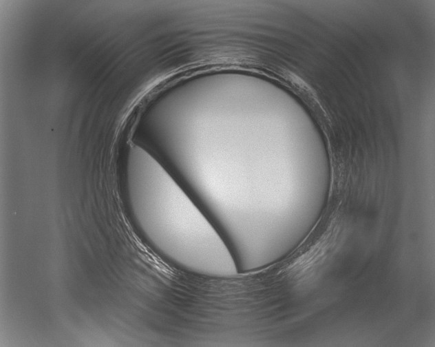 X0000060261019200510281003