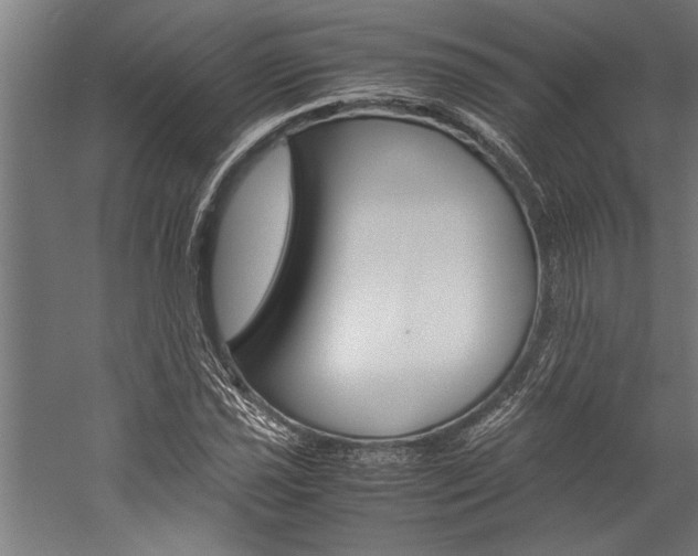 X0000060261021200510281003