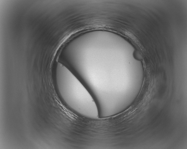 X0000060261023200510281003