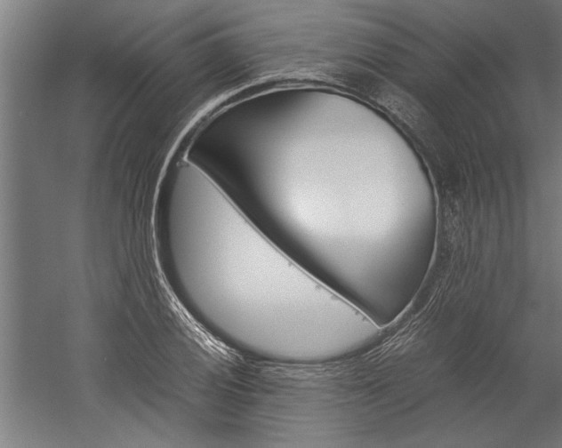 X0000060261028200510281003
