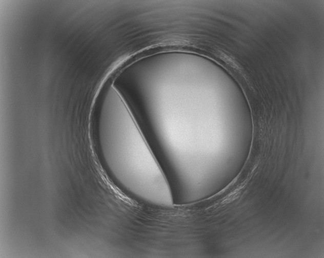 X0000060261029200510281003
