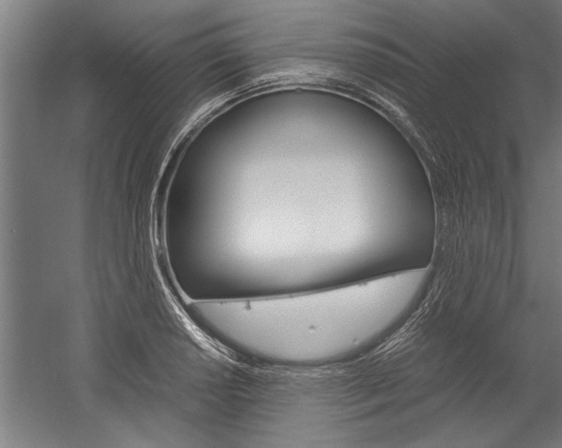X0000060261034200510281003