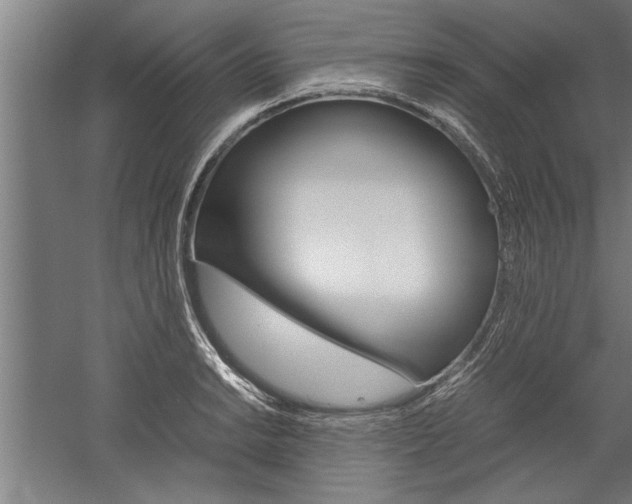 X0000060261038200510281003