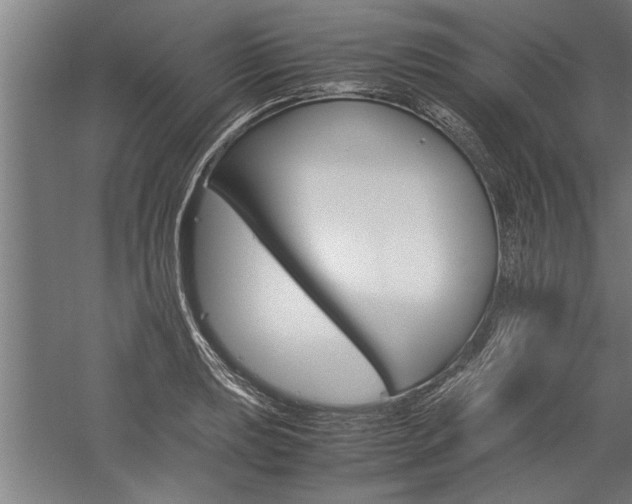 X0000060261039200510281003