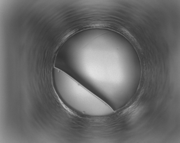 X0000060261041200510281004