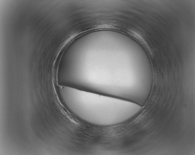 X0000060261043200510281004