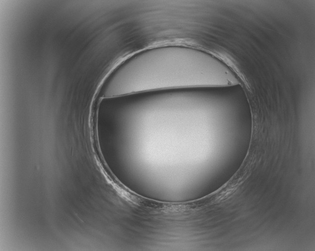 X0000060261046200510281004