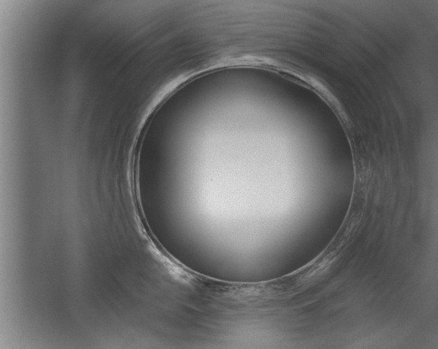 X0000060261054200510281004