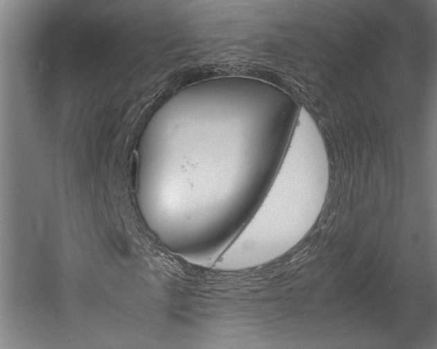 X0000060261057200510281003
