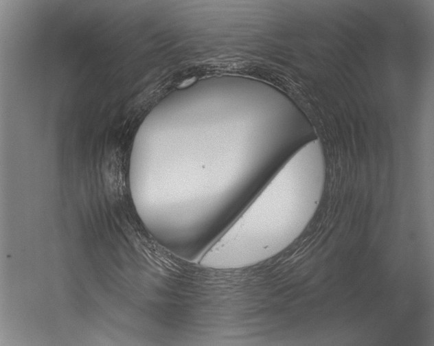 X0000060261058200510281003