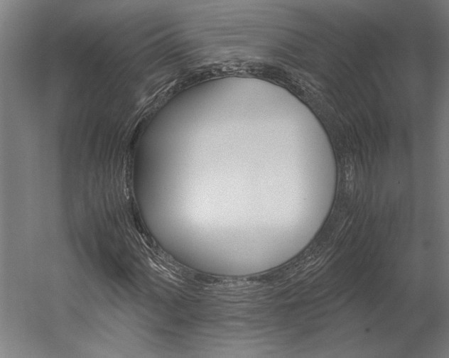 X0000060261060200510281003