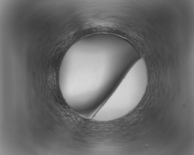 X0000060261061200510281003