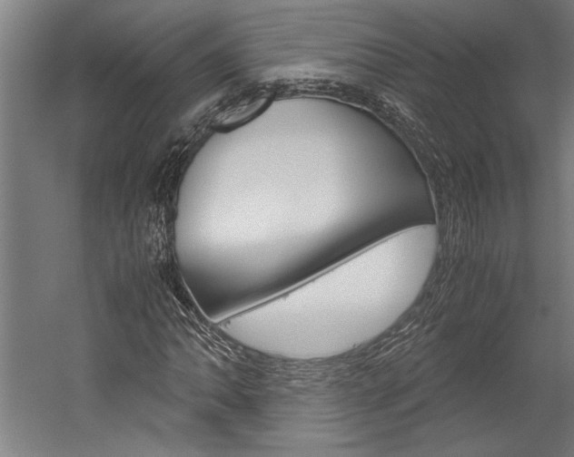 X0000060261062200510281003