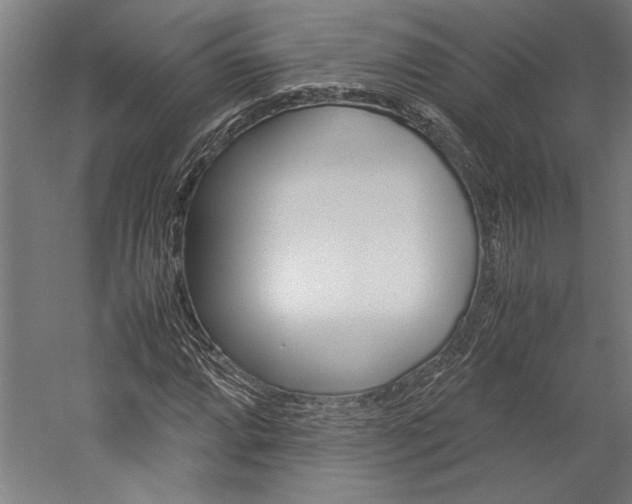 X0000060261064200510281003