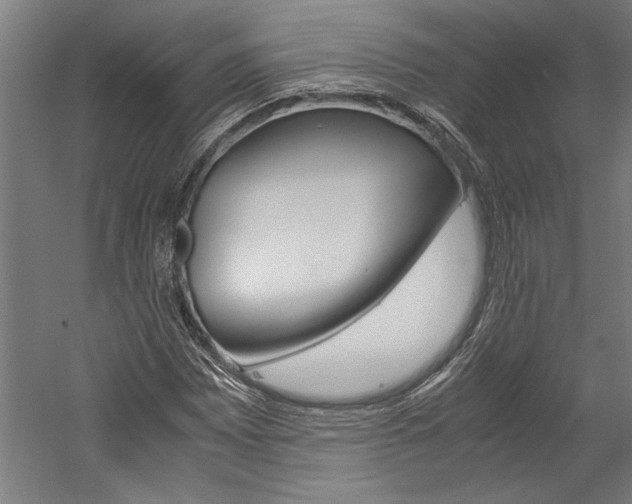X0000060261065200510281003