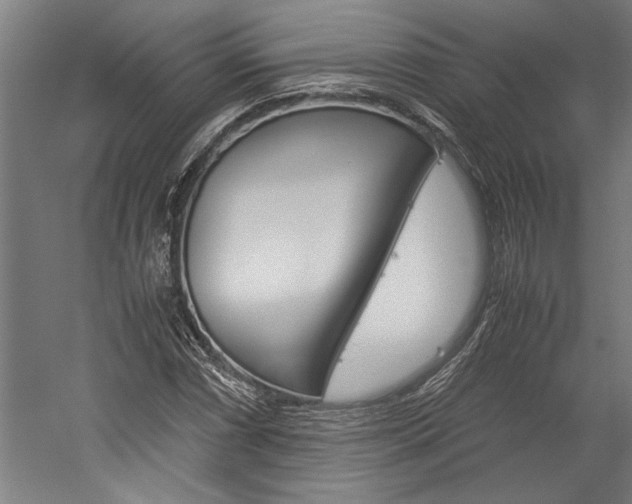 X0000060261066200510281003
