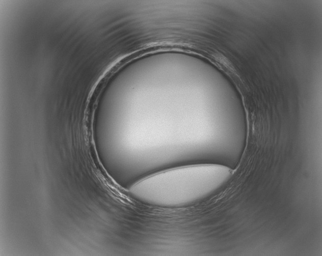 X0000060261068200510281003