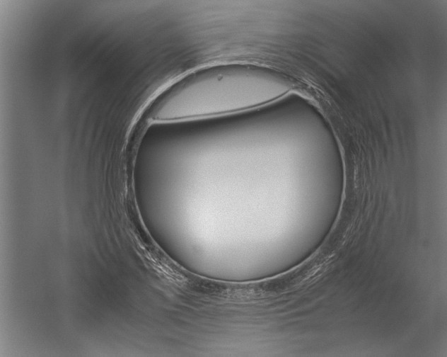 X0000060261069200510281003
