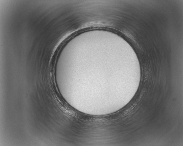 X0000060261070200510281003